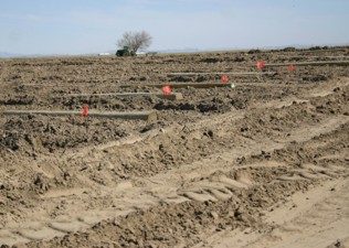 Preparations for a winery, where you can see rows for plants and paths in the soil.