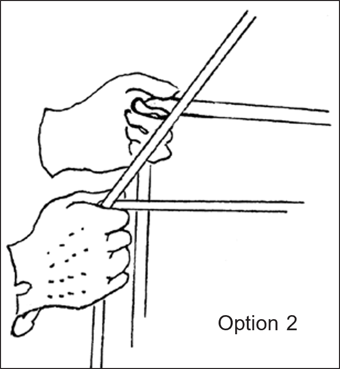 A hand diagram labeled Option 2, demonstrating an accepted method for gripping and managing driving reins.