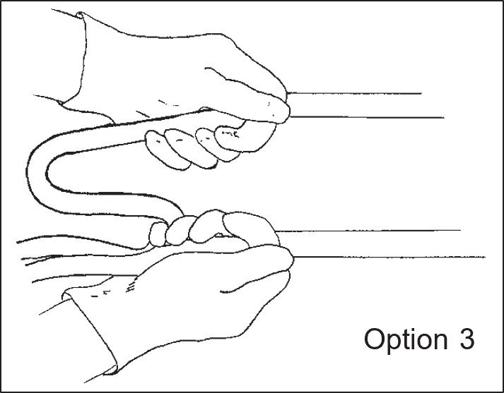 A hand diagram labeled Option 3, demonstrating an accepted method for gripping and managing driving reins.