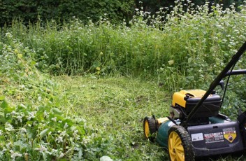 A rotary mower in use clearing a path in the brush.