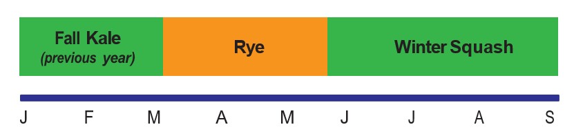 A diagram showing that fall kale can be grown January- March, rye can be grown through March through mid June, and winter squash can be grown mid June-September.
