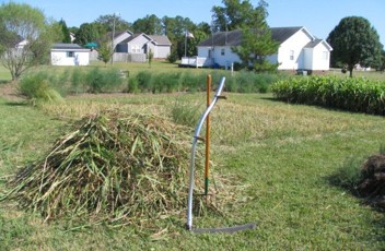 A silver scythe next to a pile of cut crops.