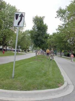 A young tree planted on a raised mound of soil surrounded by grass. A white roadside sign stands nearby to tell cars to avoid the raised bed.