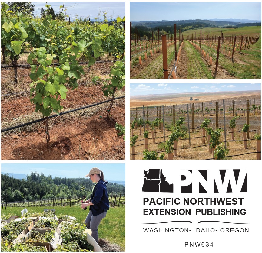 Five images. In the top left, a grapevine in a vineyard. In the bottom left, a farmer looks over grapevine starter plants. In the top right, rows of starter grapevines in a vineyard. In the middle right, rows of grapevines that have started to grow leaves. In the bottom right, the logo for Pacific Northwest Extension Publishing, a joint collaboration between Washington, Idaho, and Oregon.