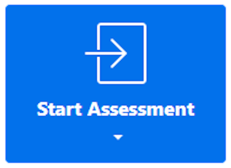 An image of the blue "start assessment" button.