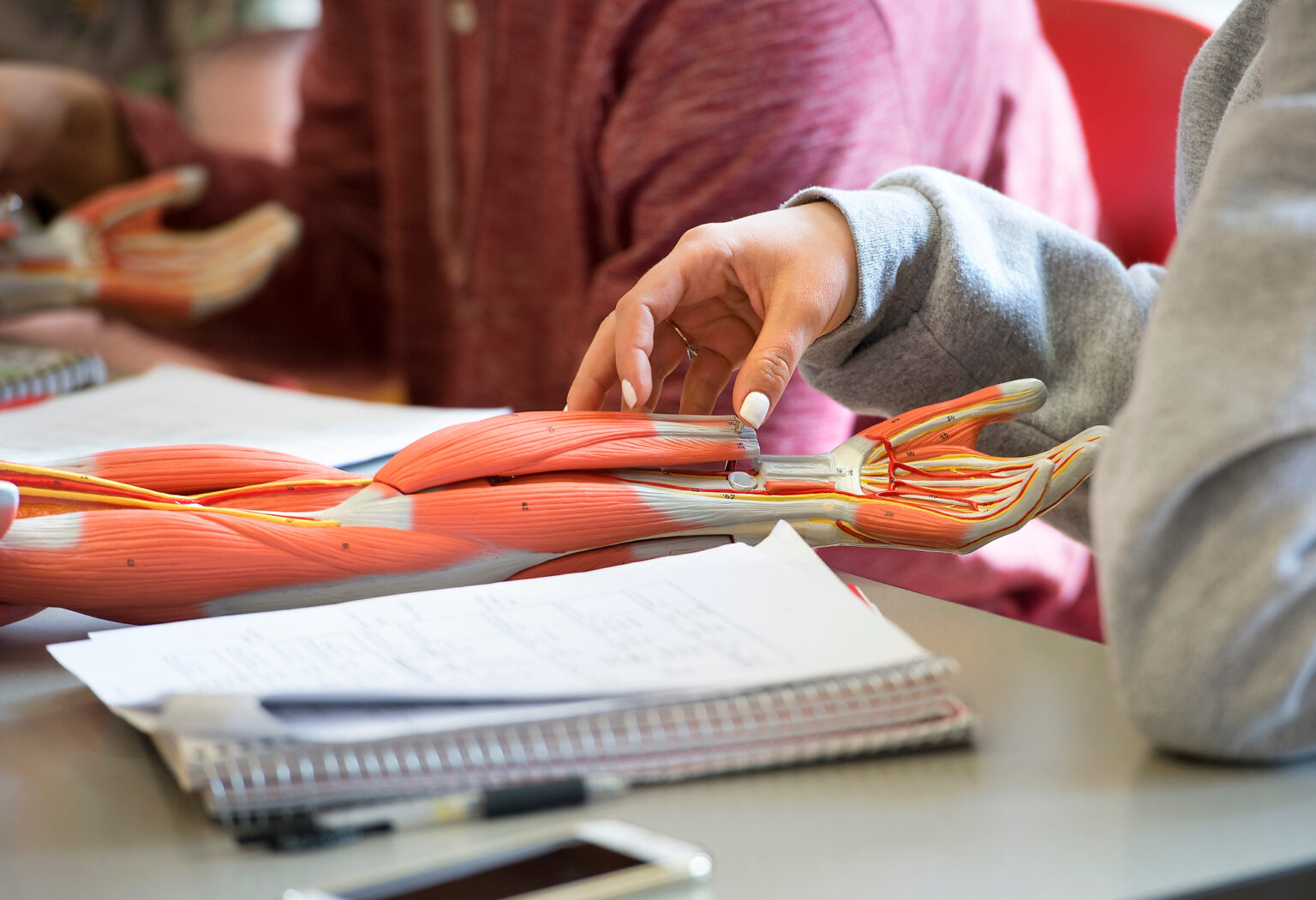 Kinesiology College of Education, Sport, and Human Sciences