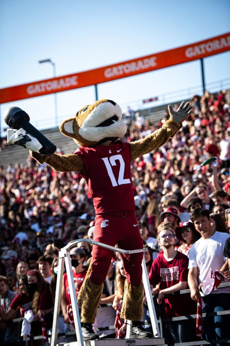 Buck Standing and cheering