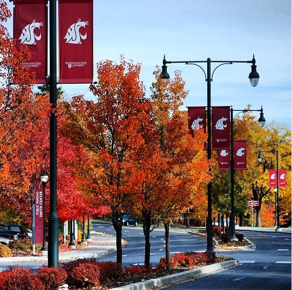 WSu Street Flags