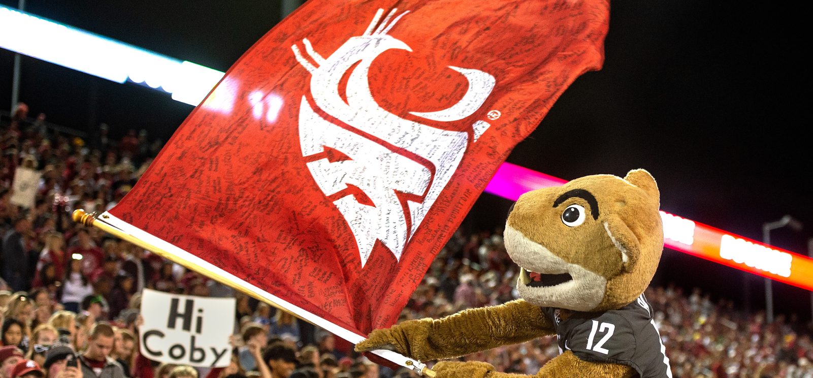 WSU mascot butch with flag