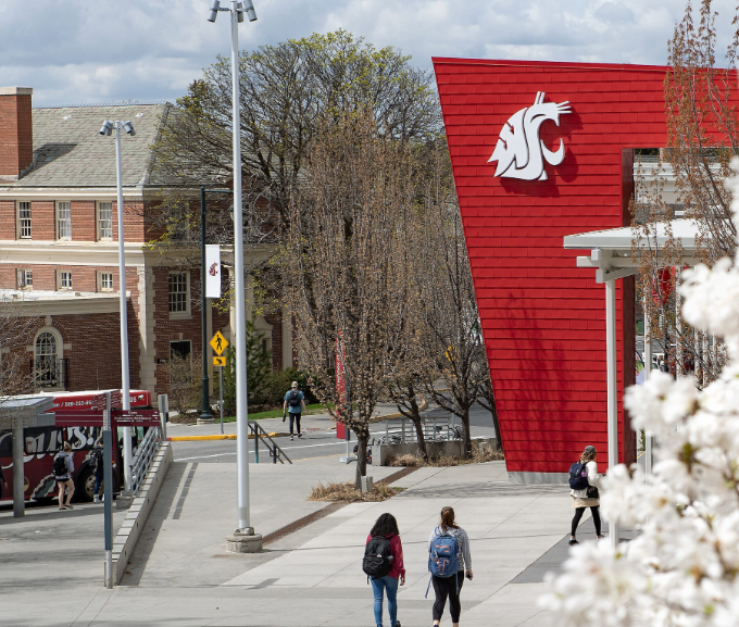 wsu pullman