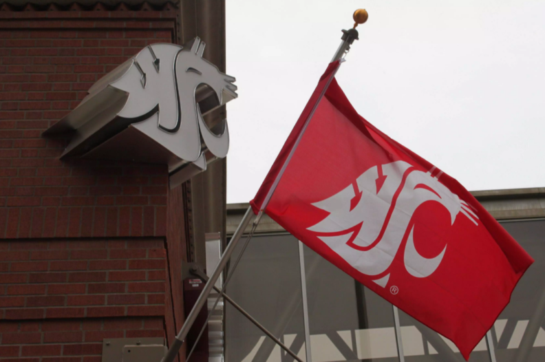 WSU Logo flag