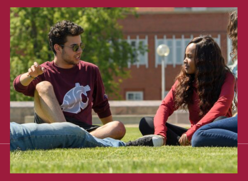 students on the grass talking