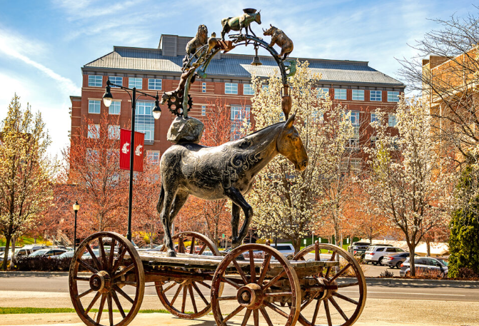 mule sculpture on WSU campus