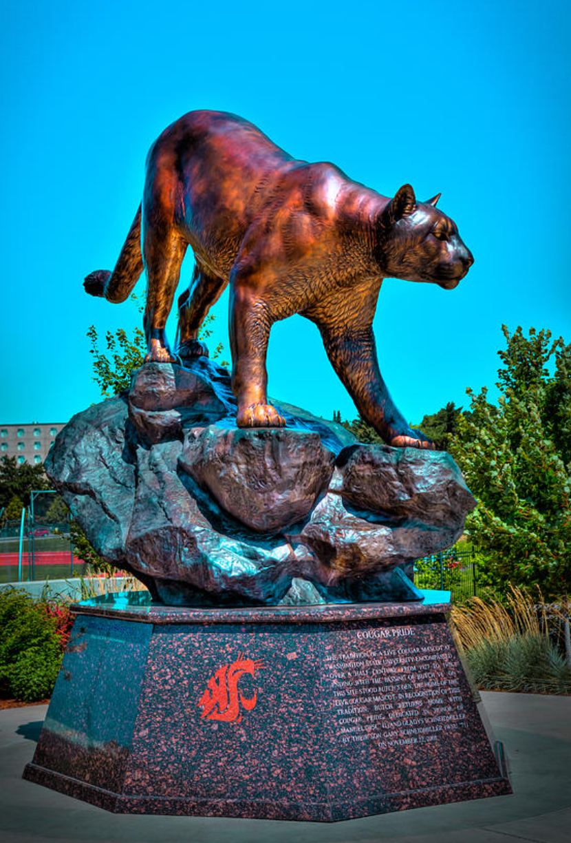 coug statue