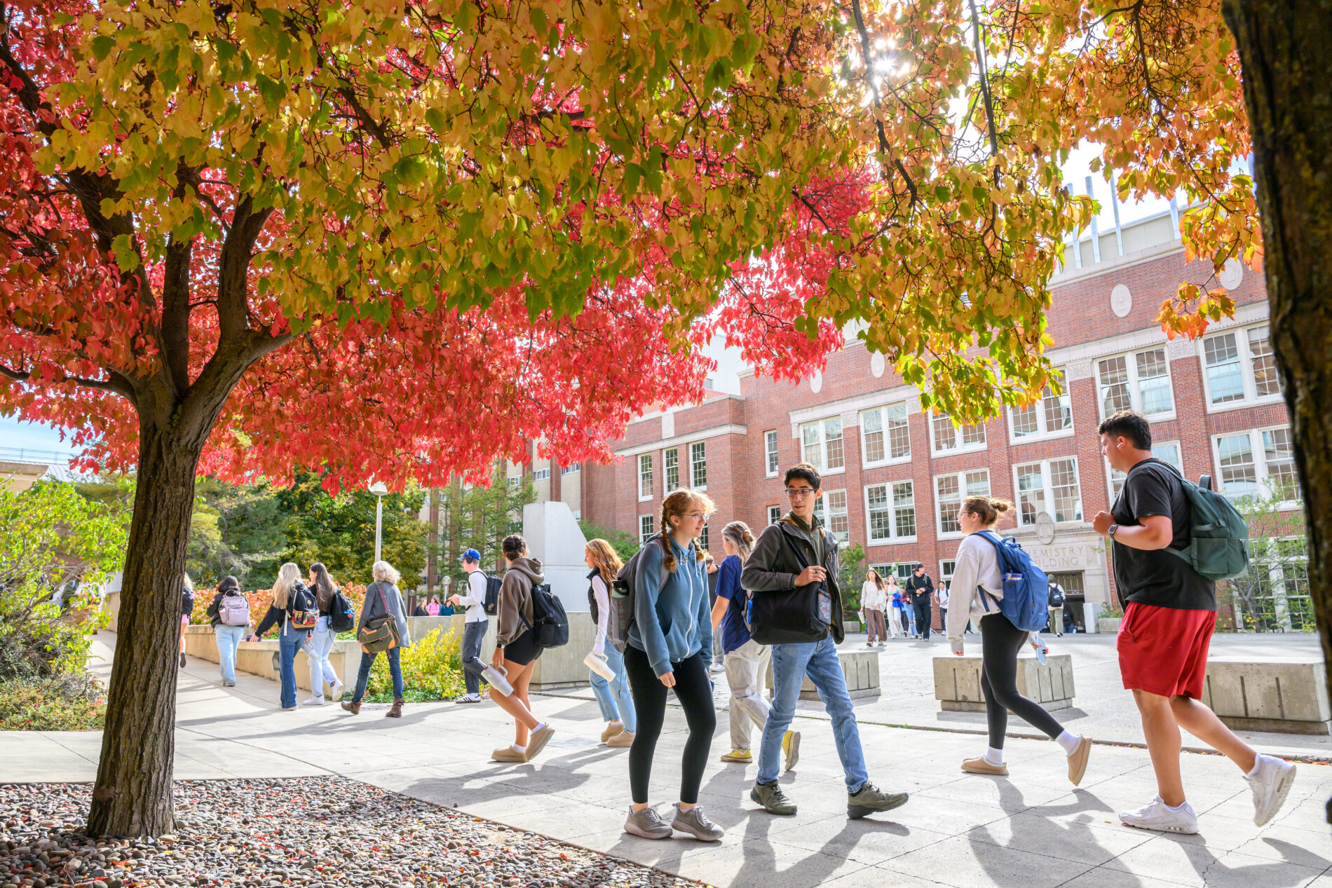 Fall scenes on the Pullman campus