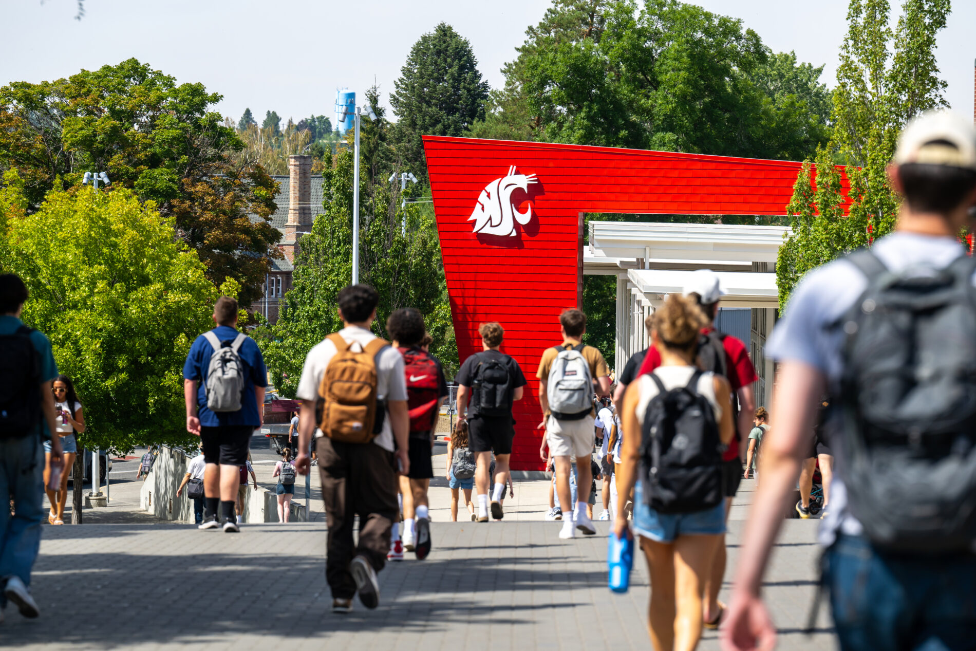 Students walk on Library Lane