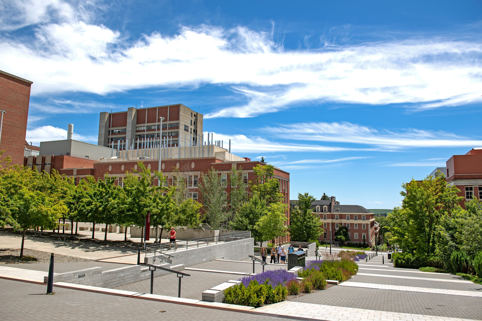 Fulmer Hall Library Road
