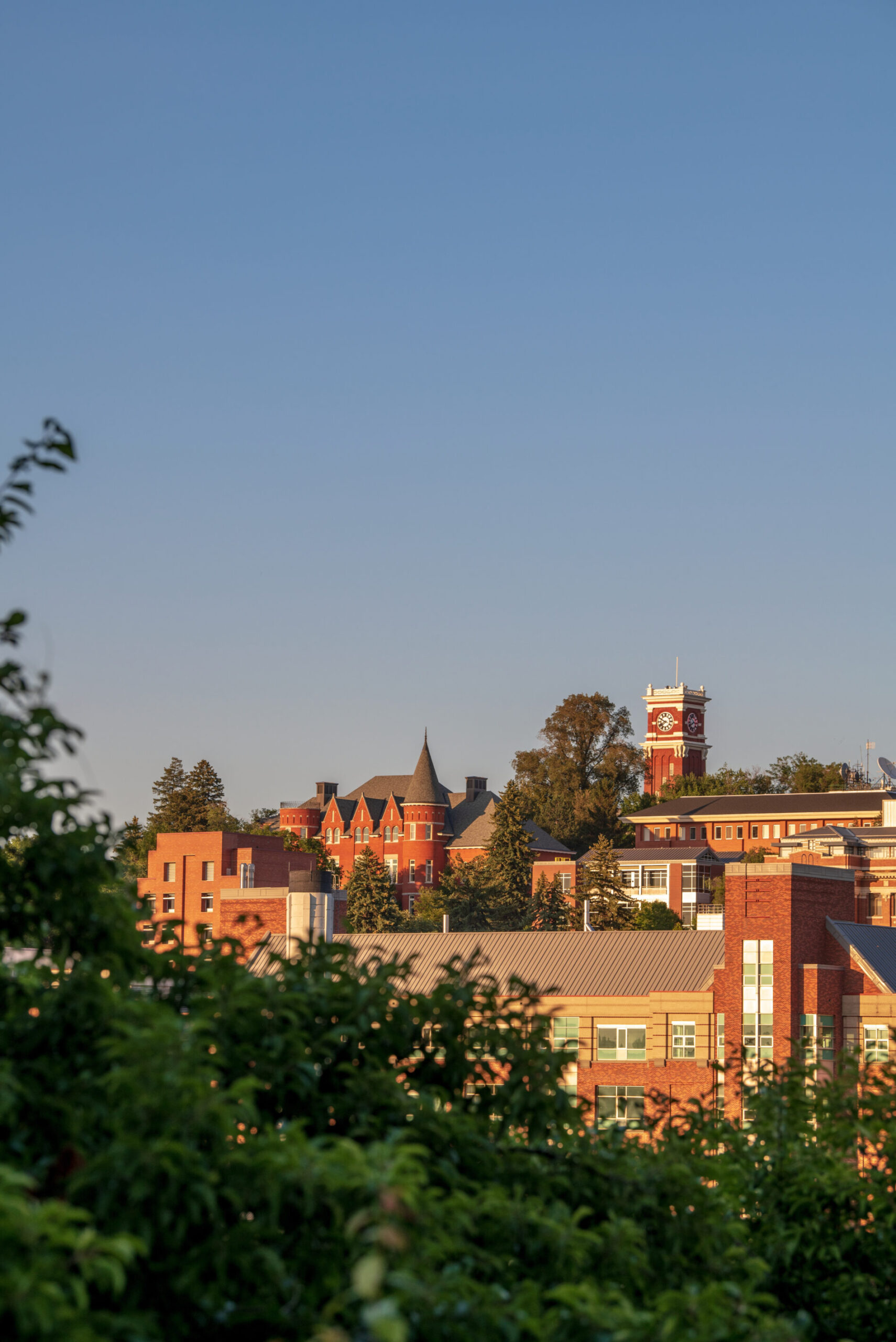 Pullman Campus Sunset