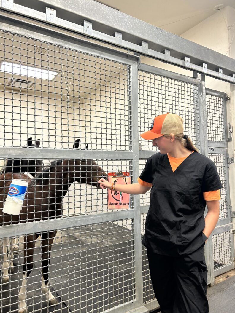 Isabel Fox & Vet Teaching Hospital