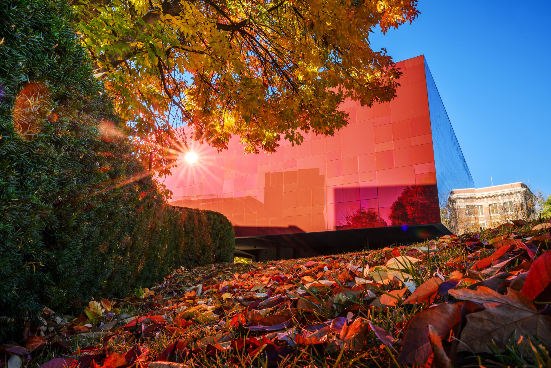 Fall colors on the Pullman campus