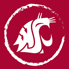  Logo-with-white-lines