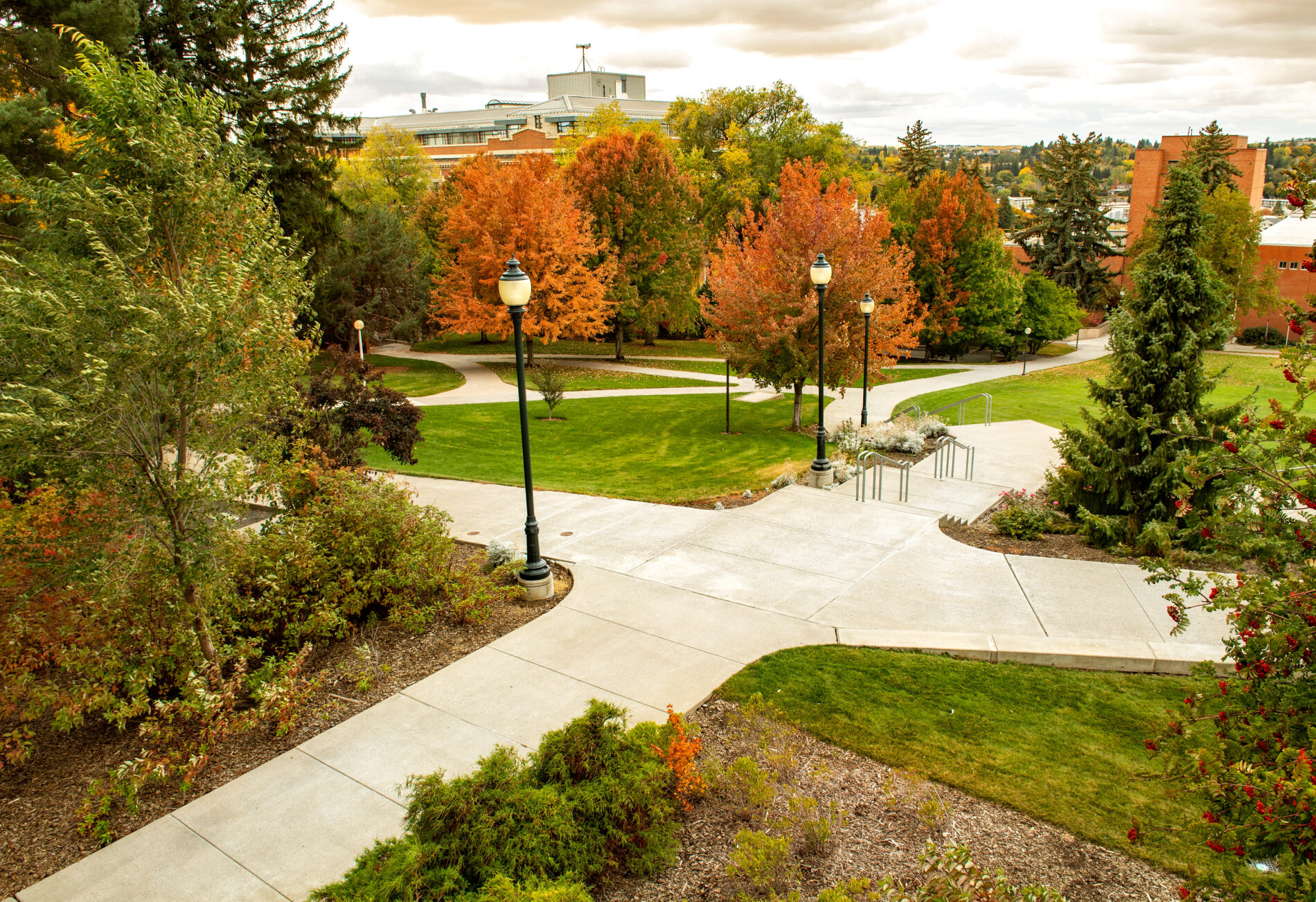 Fall color on the paths of Thompson Lawn