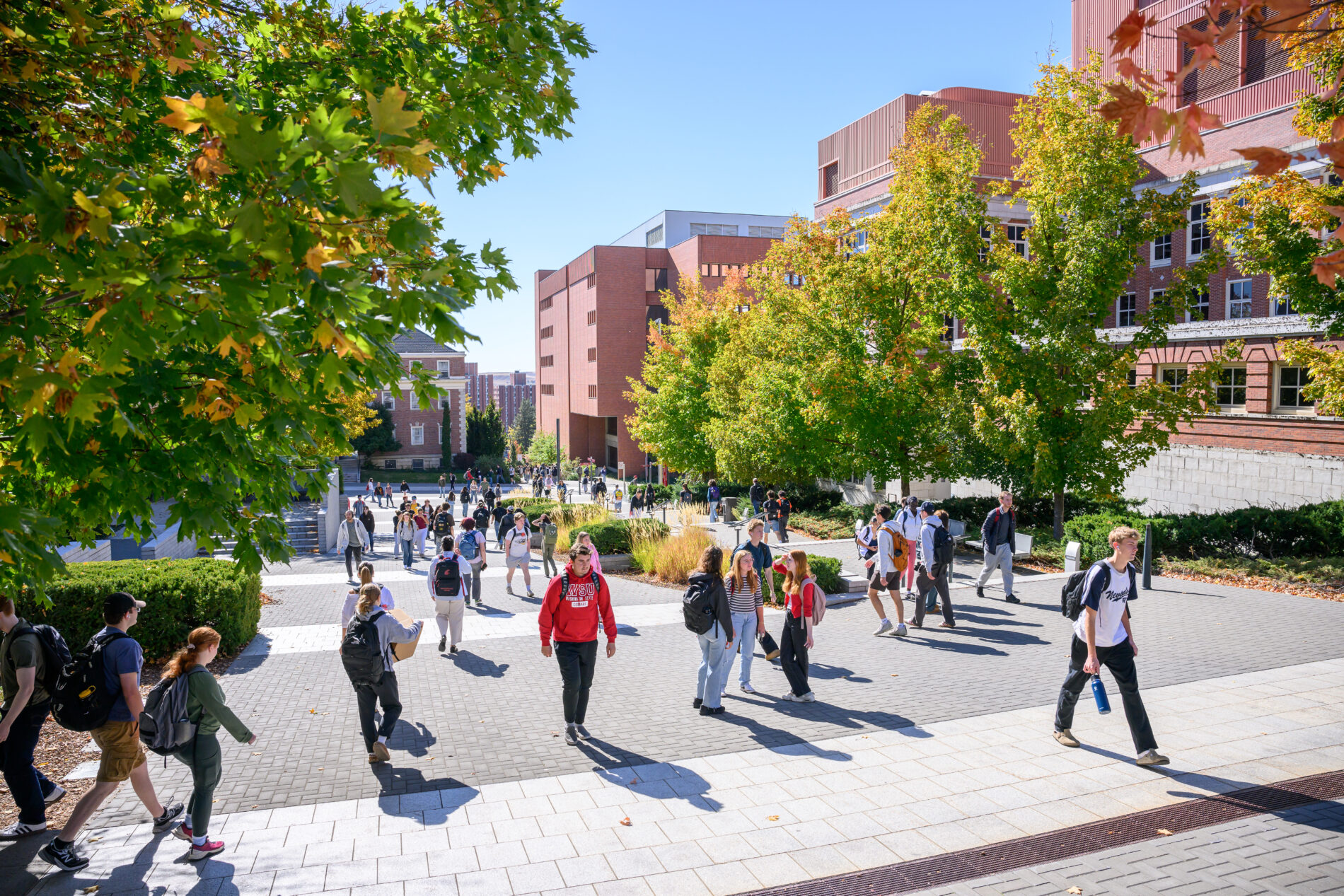 Class Change and other scenes from the fall semester on the Pullman