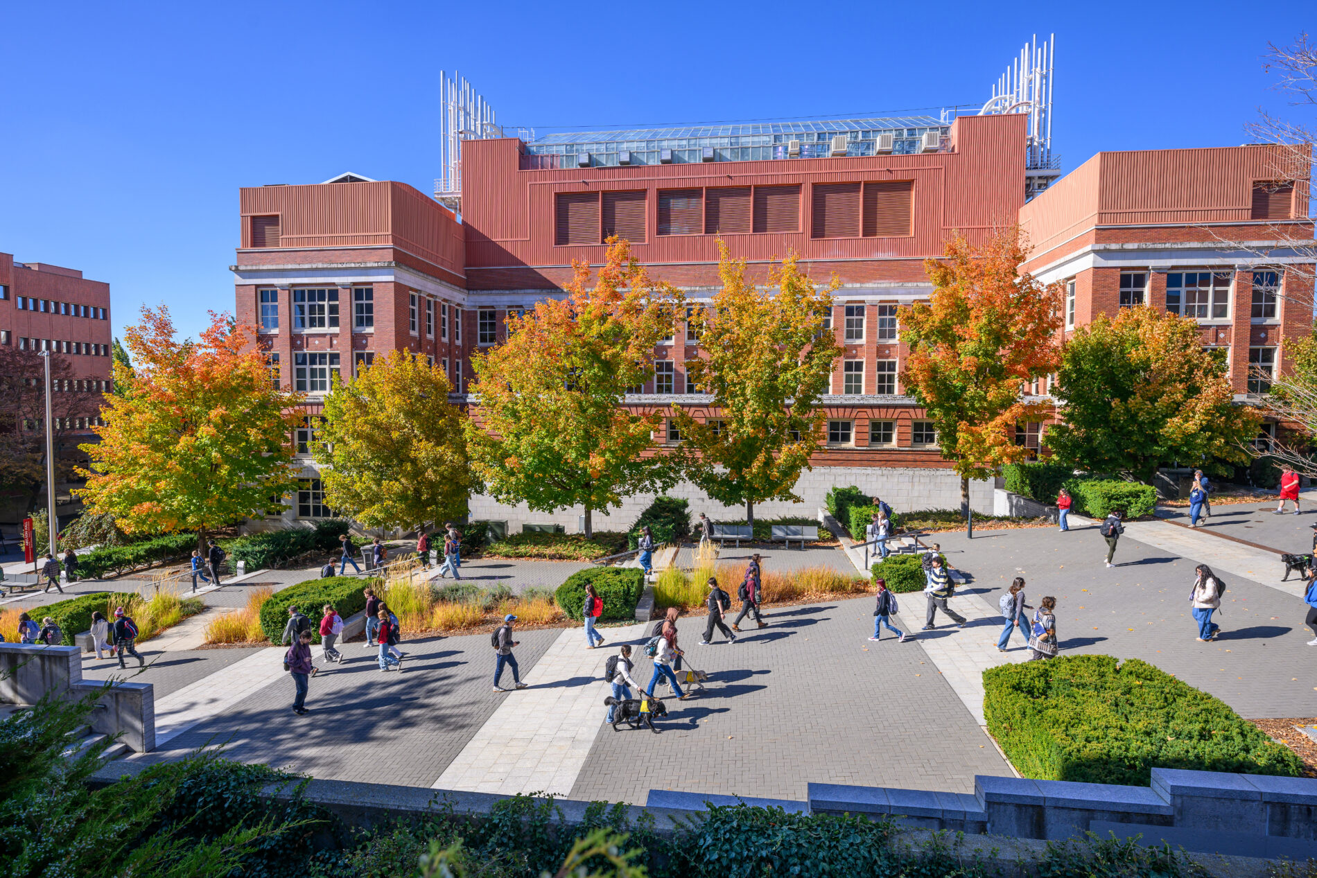 Class change and fall colors on the Pullman campus