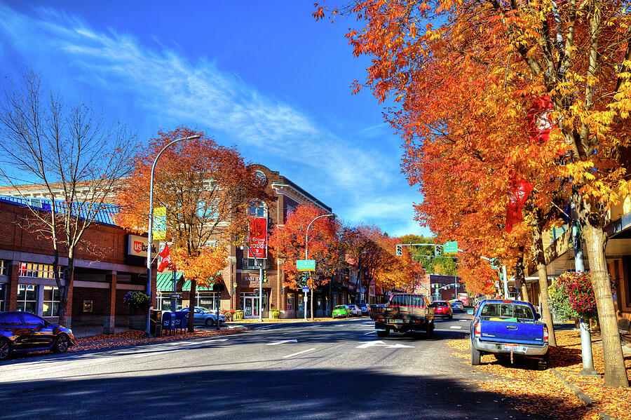 Autumn at Pullman streets
