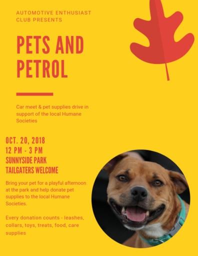 Flyer for Pets and Petrol