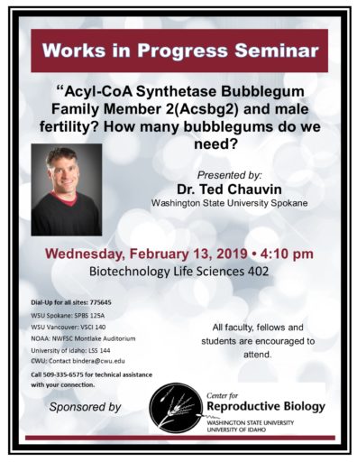 Flyer for Chauvin seminar