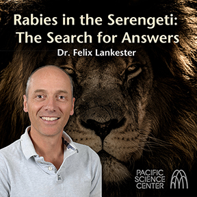 Flyer for Science in the City