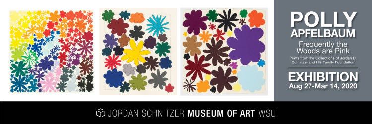 polly apfelbaum exhibition poster