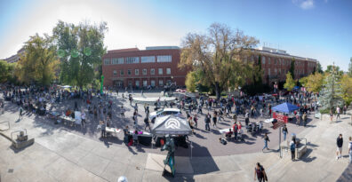 Large crowd moving through the outdoor fair