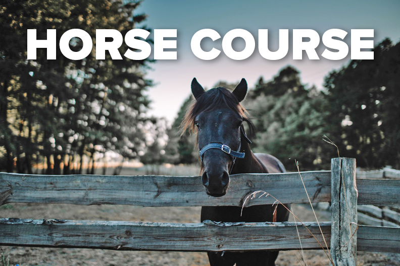 Horse looking over a fence.
