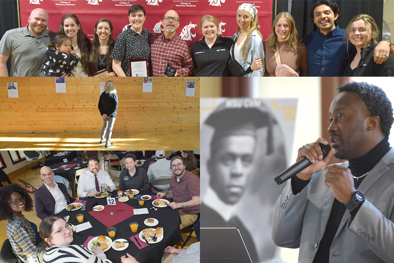 Collage of five photos from the event around a cap and gown photo of Dr. Jordan.