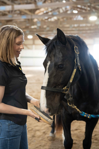 Schroeder shows the process of introducing a horse to the activity she will be asking them to do during a session. In this case, Memphis is given the opportunity to smell and feel the horse brush with his nose before Schroeder brushes him. 