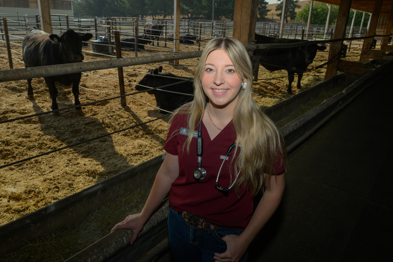Student with beef cattle in corrals behind her.