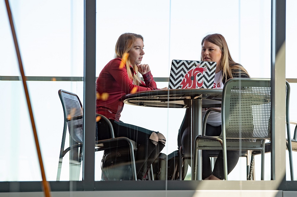 Two people talking at a table with a laptop.