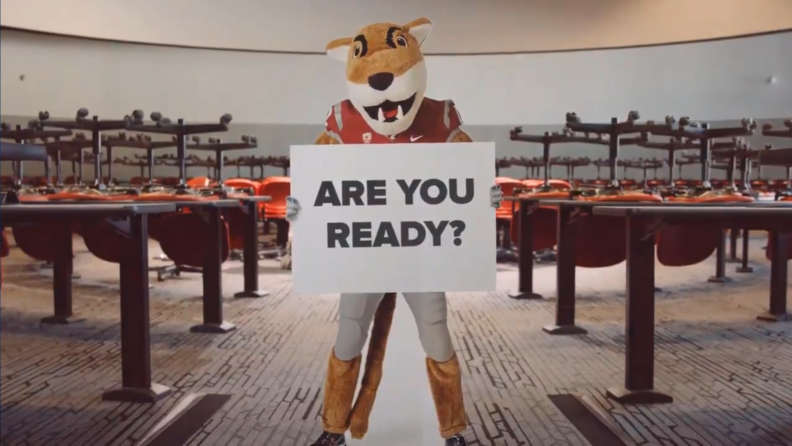 The WSU cougar mascot holding a sign that reads Are you ready?