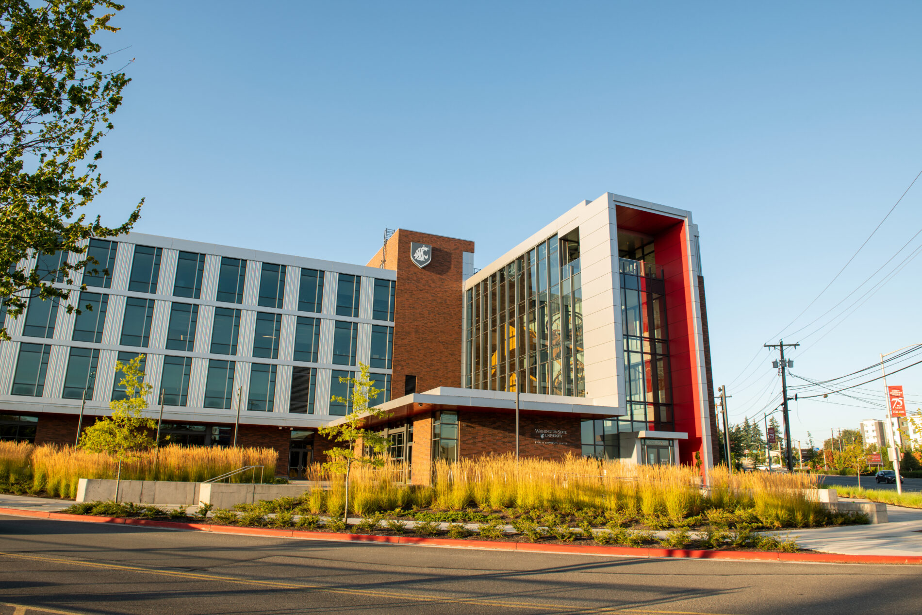 Closeup of a person wearing a college graduation hat with a cougar logo.