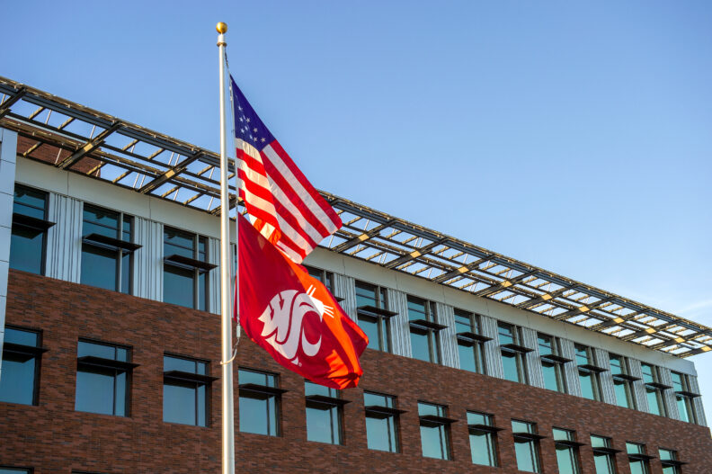 The USA flag above a flag with the WSU cougar head logo in front of an academic building.