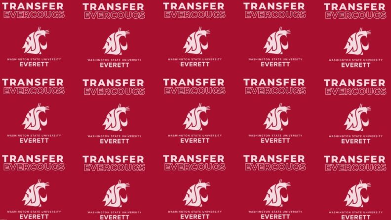 A repeating crimon-colored rectangular sticker with the text Transfer Evercougs, Washington State University Everett and the WSU Cougar logo.