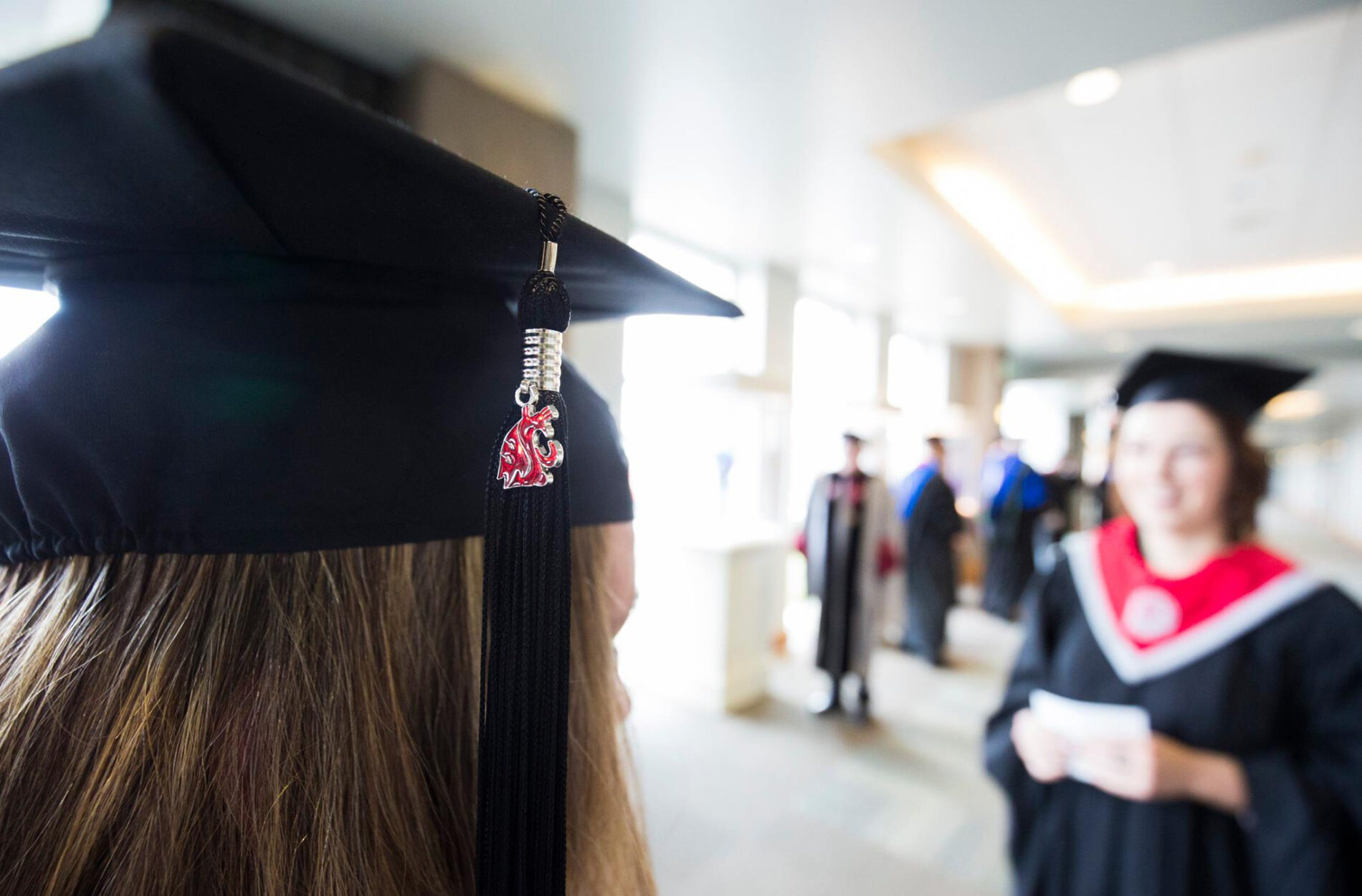Closeup of a person wearing a college graduation hat with a cougar logo.