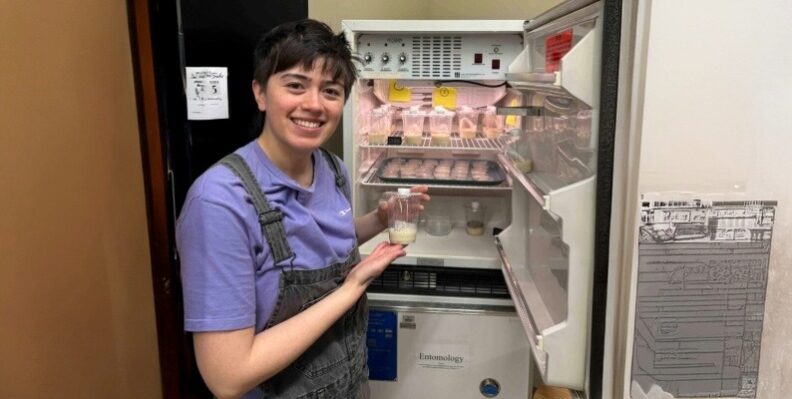 Gusta Beard at an Entomology incubation chamber with specimens.