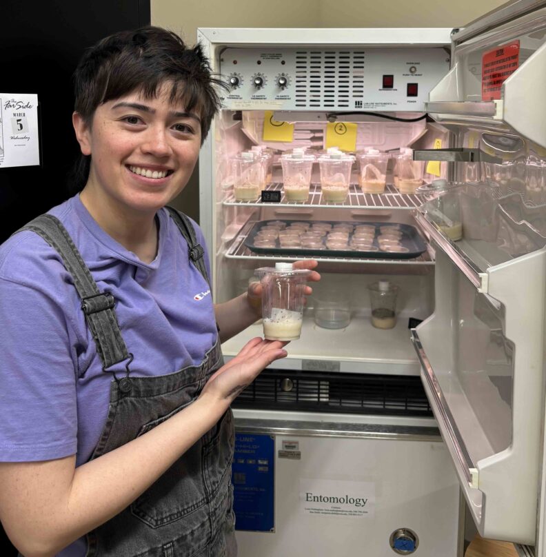 Gusta Beard at an Entomology incubation chamber with specimens.