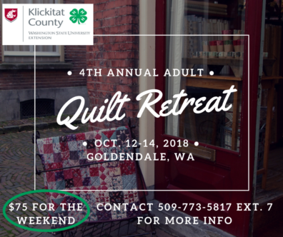 Quilt Camp Advertisement