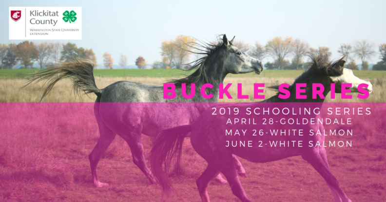 Buckle Series 2019 Heading Photo of Horses