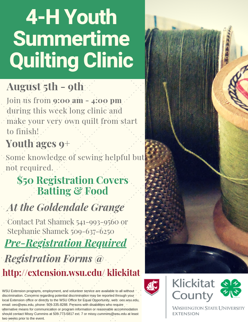 Summertime Quilting Clinic