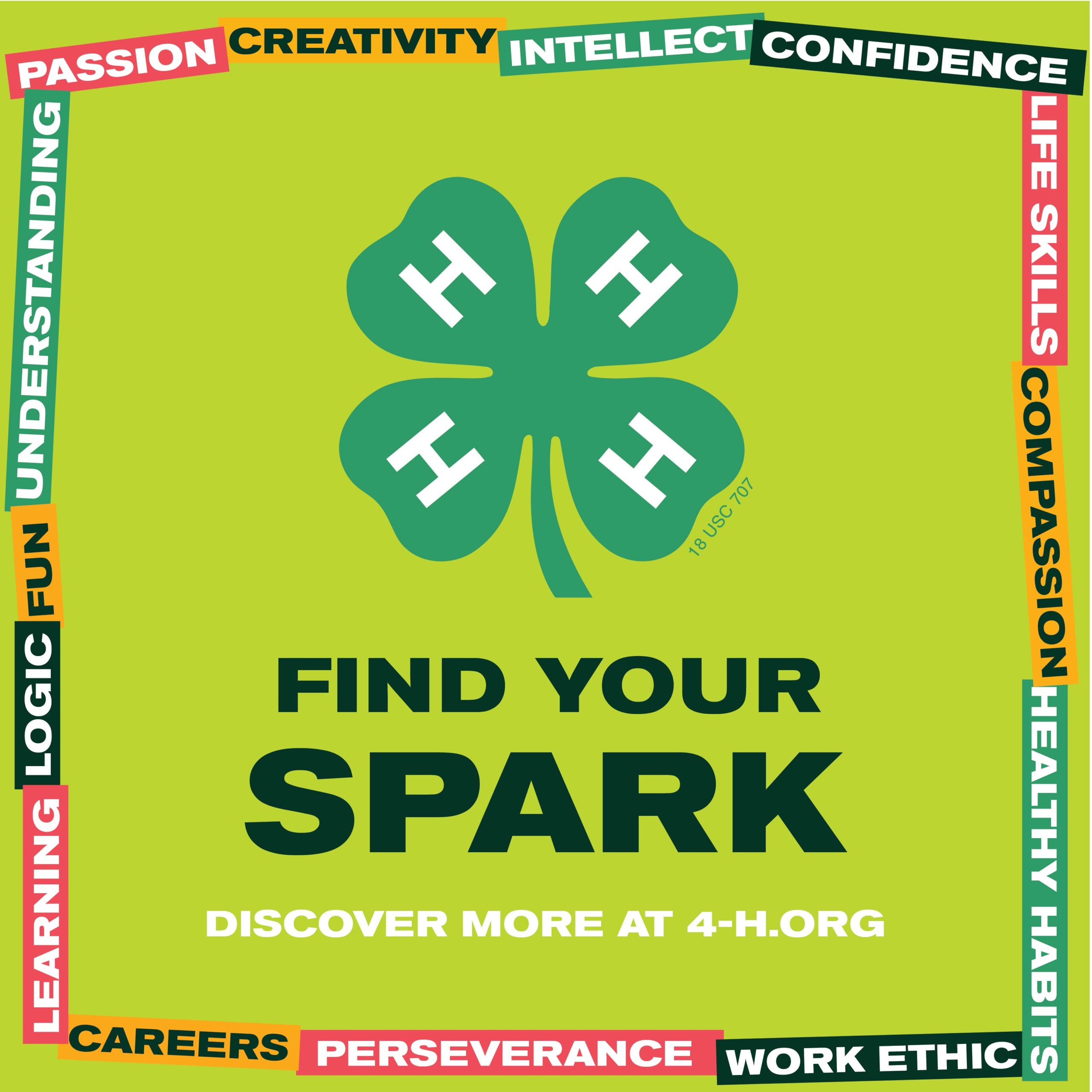 Find Your Spark Flyer